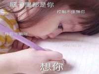阜南豪御信息科技有限公司
