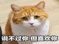 阜南豪御信息科技有限公司