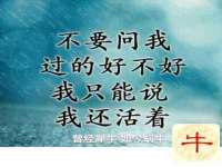 阜南豪御信息科技有限公司