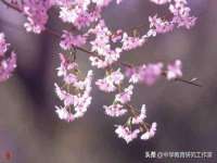 阜南豪御信息科技有限公司