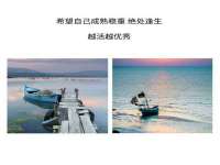 阜南豪御信息科技有限公司