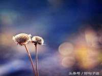 阜南豪御信息科技有限公司
