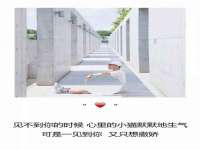 阜南豪御信息科技有限公司