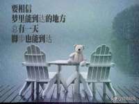 阜南豪御信息科技有限公司