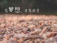 阜南豪御信息科技有限公司