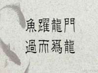 阜南豪御信息科技有限公司
