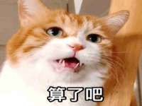 阜南豪御信息科技有限公司