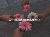 阜南豪御信息科技有限公司