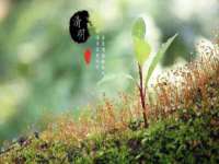 阜南豪御信息科技有限公司