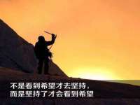阜南豪御信息科技有限公司