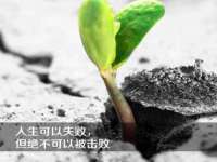 阜南豪御信息科技有限公司