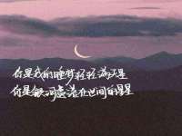 阜南豪御信息科技有限公司