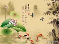 阜南豪御信息科技有限公司