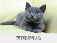 阜南豪御信息科技有限公司