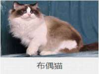 阜南豪御信息科技有限公司