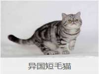 阜南豪御信息科技有限公司