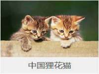 阜南豪御信息科技有限公司