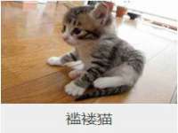 阜南豪御信息科技有限公司