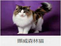 阜南豪御信息科技有限公司