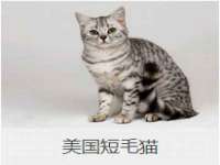 阜南豪御信息科技有限公司
