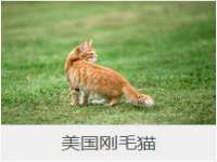 阜南豪御信息科技有限公司