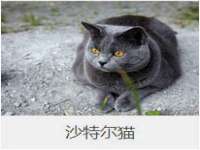 阜南豪御信息科技有限公司