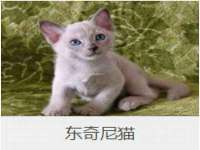 阜南豪御信息科技有限公司