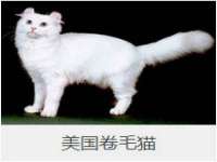 阜南豪御信息科技有限公司