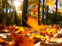 阜南豪御信息科技有限公司