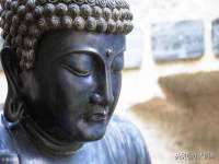 阜南豪御信息科技有限公司
