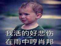 阜南豪御信息科技有限公司