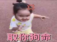 阜南豪御信息科技有限公司