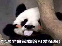 阜南豪御信息科技有限公司