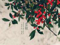 阜南豪御信息科技有限公司