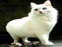 阜南豪御信息科技有限公司