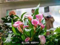 阜南豪御信息科技有限公司