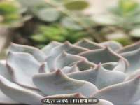 阜南豪御信息科技有限公司