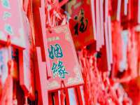 阜南豪御信息科技有限公司