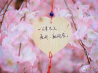 阜南豪御信息科技有限公司
