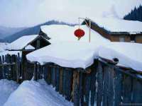 阜南豪御信息科技有限公司