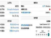 阜南豪御信息科技有限公司