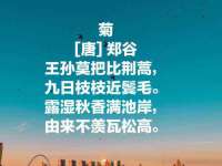 阜南豪御信息科技有限公司