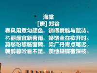 阜南豪御信息科技有限公司