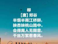 阜南豪御信息科技有限公司