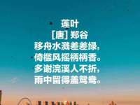 阜南豪御信息科技有限公司