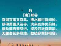 阜南豪御信息科技有限公司