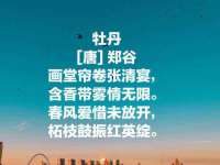 阜南豪御信息科技有限公司