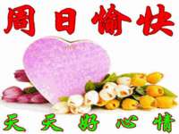 阜南豪御信息科技有限公司