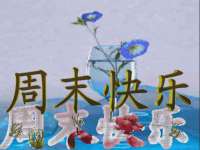 阜南豪御信息科技有限公司