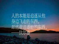 阜南豪御信息科技有限公司